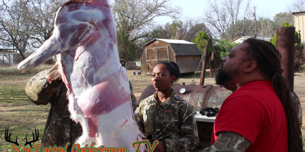 Ana skinning deer Ana skinning deer